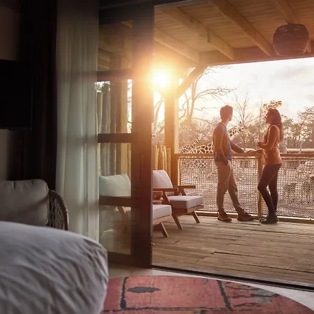 Safari Beekse Bergen هيلفارينبيك