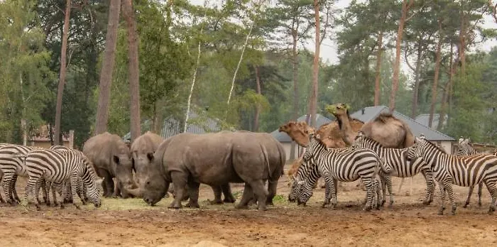 Safari Beekse Bergen Village de vacances Hilvarenbeek