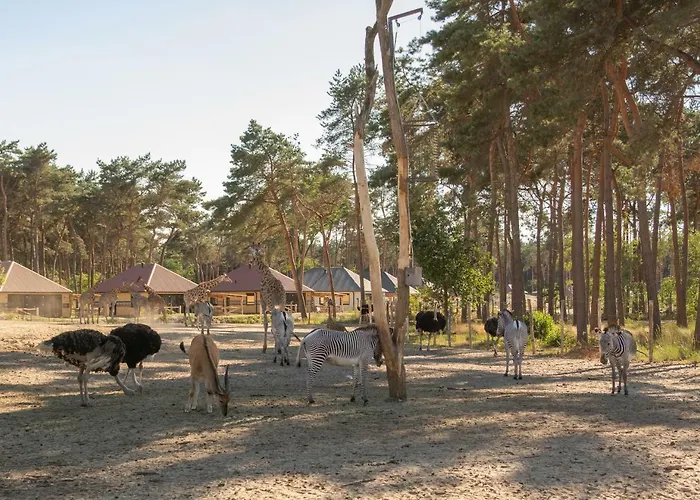 Village de vacances Safari Beekse Bergen 4*