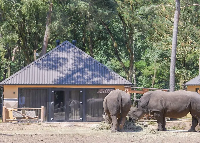 Safari Beekse Bergen 4* Hilvarenbeek