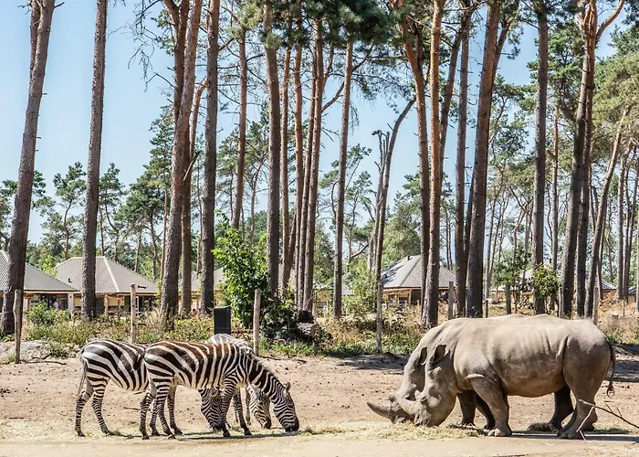 Safari Beekse Bergen Village de vacances Hilvarenbeek