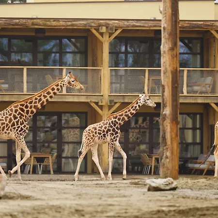 Safari Beekse Bergen