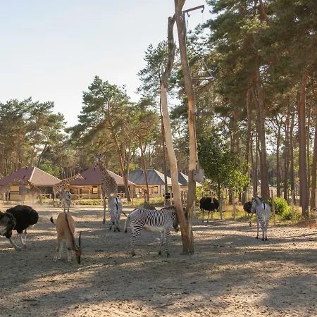 Parco vacanze Safari Beekse Bergen 4*
