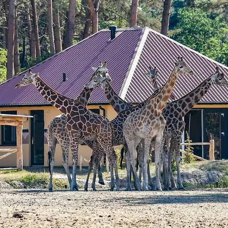 Safari Beekse Bergen 4* Hilvarenbeek