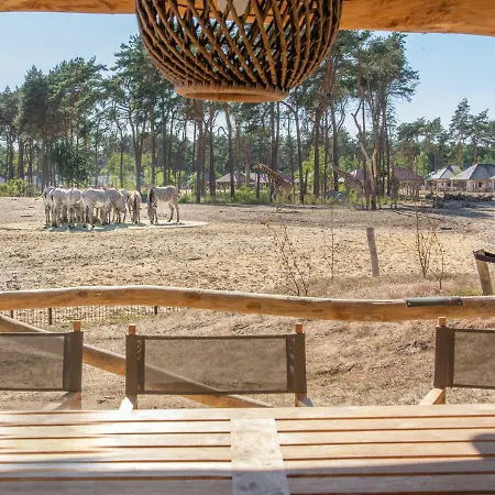 Safari Beekse Bergen Ferienpark