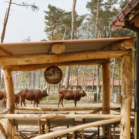 Parco vacanze Safari Beekse Bergen 4*