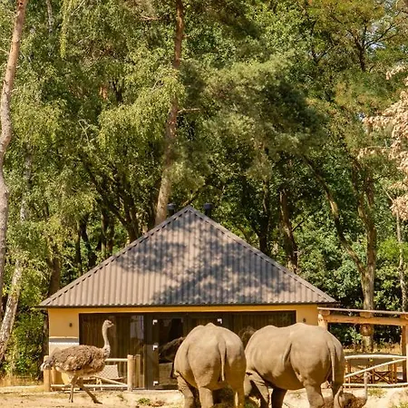 Parco vacanze Safari Beekse Bergen 4*