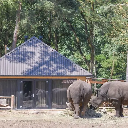 Safari Beekse Bergen 4* Hilvarenbeek