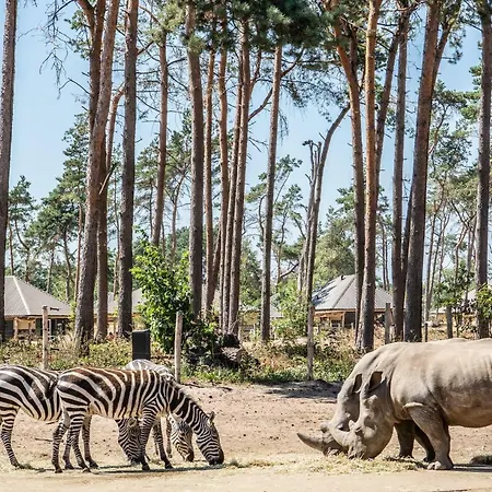 Safari Beekse Bergen Parco vacanze Hilvarenbeek
