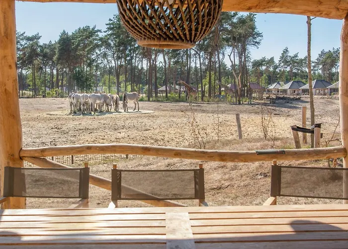 Safari Beekse Bergen Holiday park