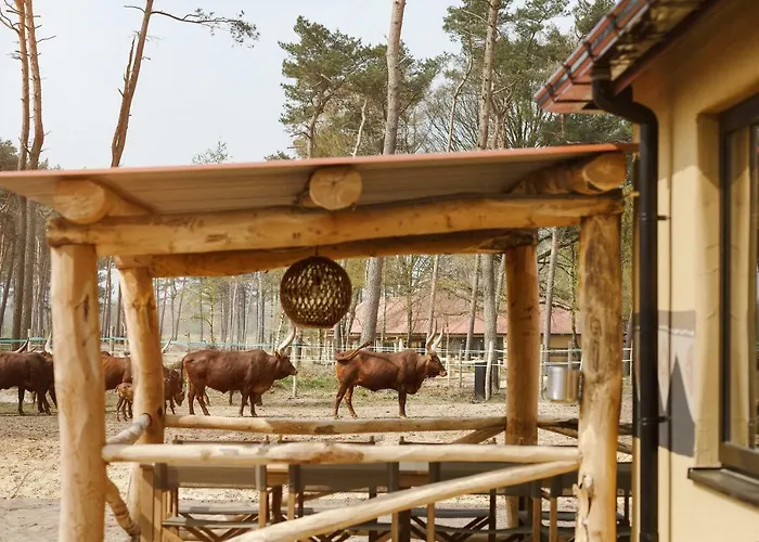 Holiday park Safari Beekse Bergen 4*