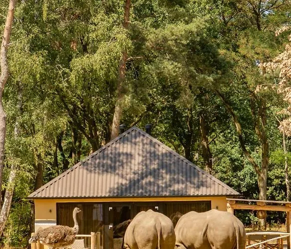 Holiday park Safari Beekse Bergen 4*