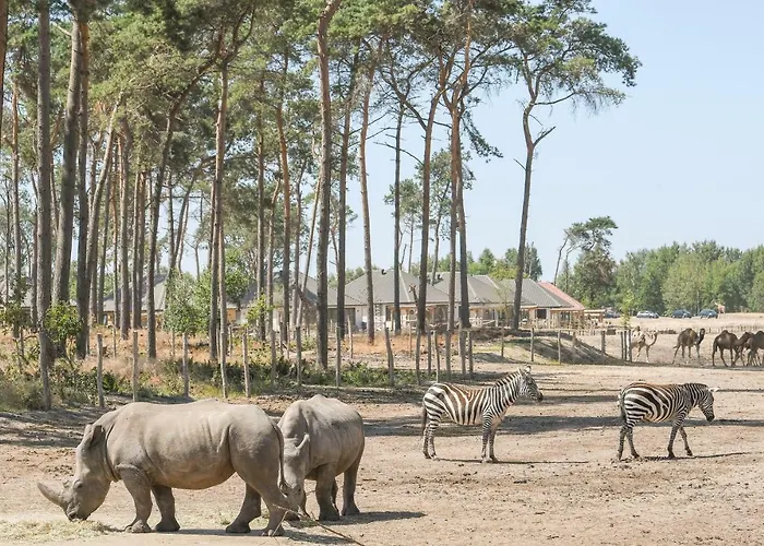 Safari Beekse Bergen 4* 希尔瓦伦比克